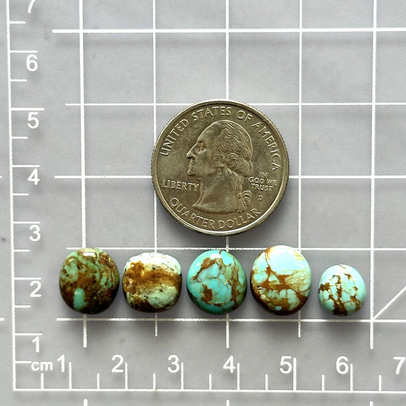 Small Sky Blue Freeform Number 8 Turquoise, Set of 5 Dimensions