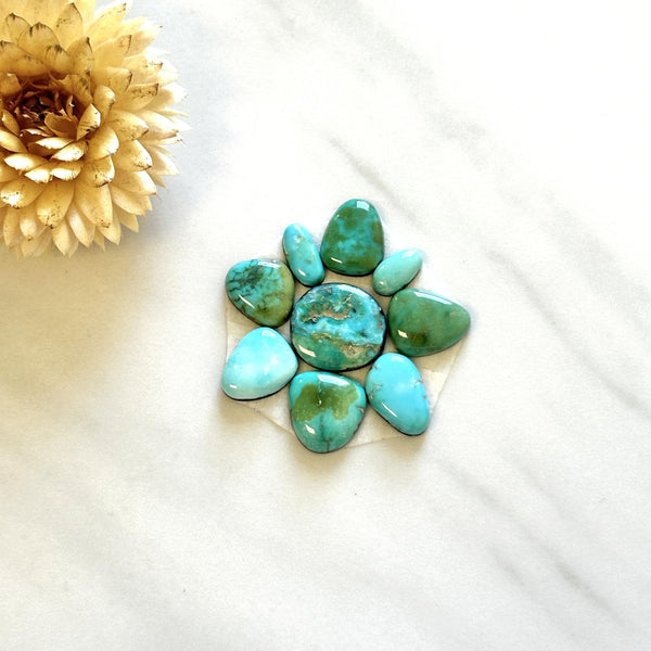 Small Sea Green Mixed Lone Mountain Turquoise, Set of 9 Background