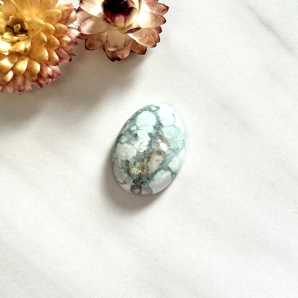 Large Gray Oval Broken Arrow Variscite Background