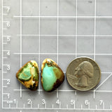 Medium Mint Green Freeform Royston Turquoise, Set of 2 Dimensions