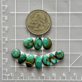 Small Ocean Blue Mixed Tyrone Turquoise, Set of 10 Dimensions
