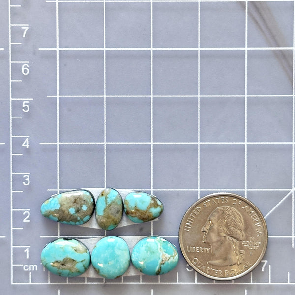 Small Sky Blue Freeform Pilot Mountain Turquoise, Set of 6 Dimensions