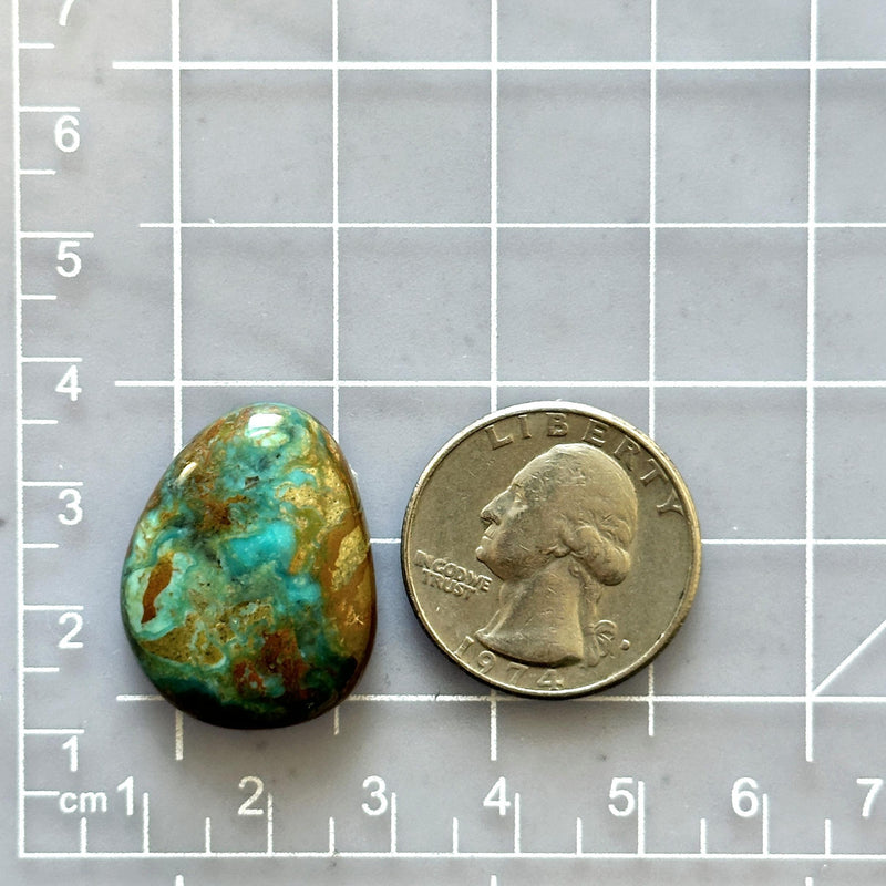 Large Sea Green Freeform Lone Mountain Turquoise Dimensions