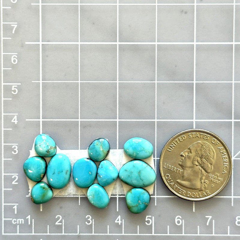 Small Sky Blue Mixed Lone Mountain Turquoise, Set of 11 Dimensions