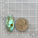 Large Sky Blue Oval Wild Horse Turquoise Dimensions