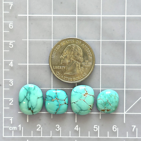 Medium Sky Blue Freeform Bamboo Mountain Turquoise, Set of 4 Dimensions