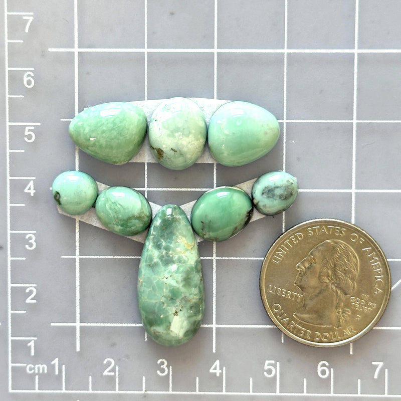 Small Mint Green Mixed Broken Arrow Variscite, Set of 8 Dimensions