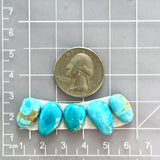 Small Sky Blue Mixed Royston Turquoise, Set of 5 Dimensions