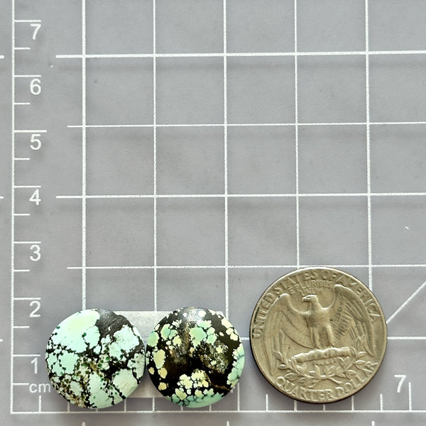 Medium Sky Blue Round Treasure Mountain Turquoise, Set of 2 Dimensions