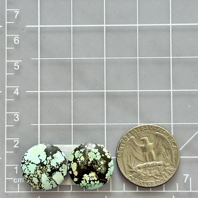 Medium Sky Blue Round Treasure Mountain Turquoise, Set of 2 Dimensions
