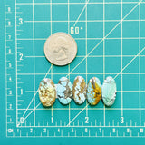 Large Mixed Oval Mixed Turquoise, Set of 5 Dimensions