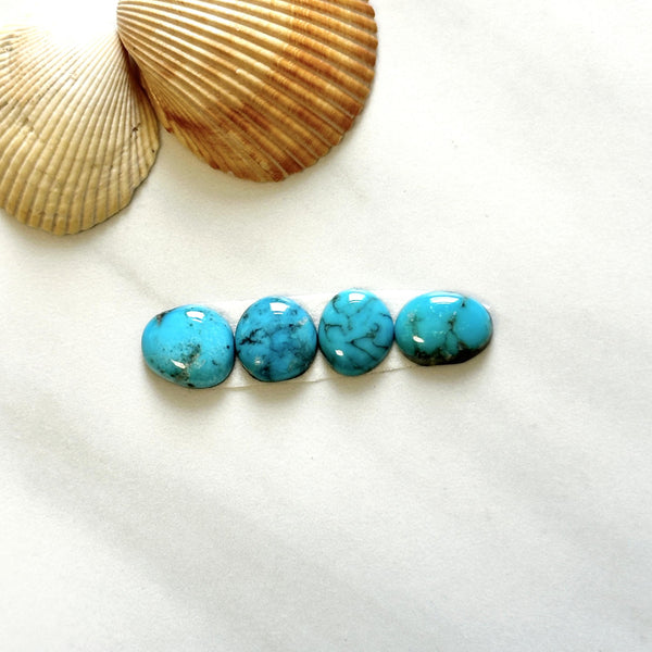 Small Sky Blue Mixed Kingman Turquoise, Set of 4 Background