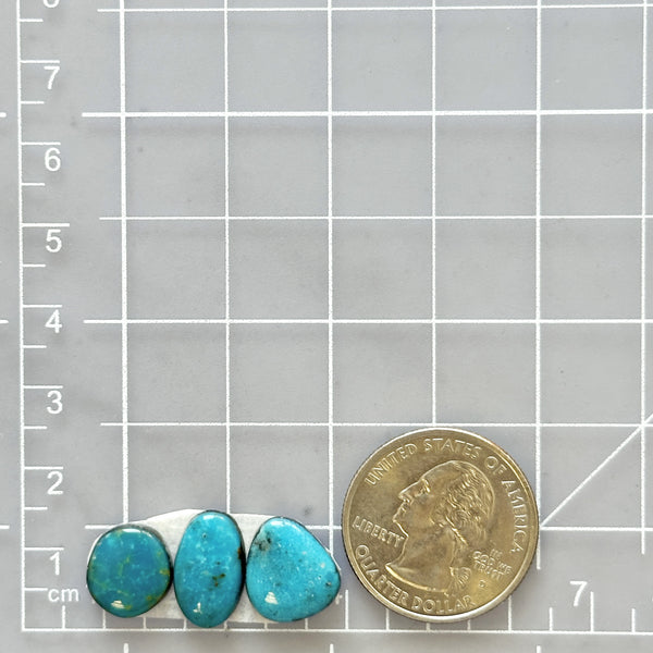 Small Ocean Blue Freeform Kingman Turquoise, Set of 3 Dimensions