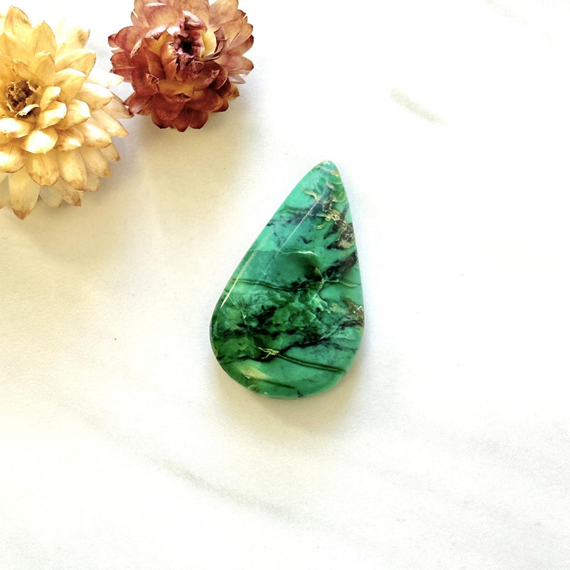 Large Sea Green Teardrop Crescent Lake Variscite Background