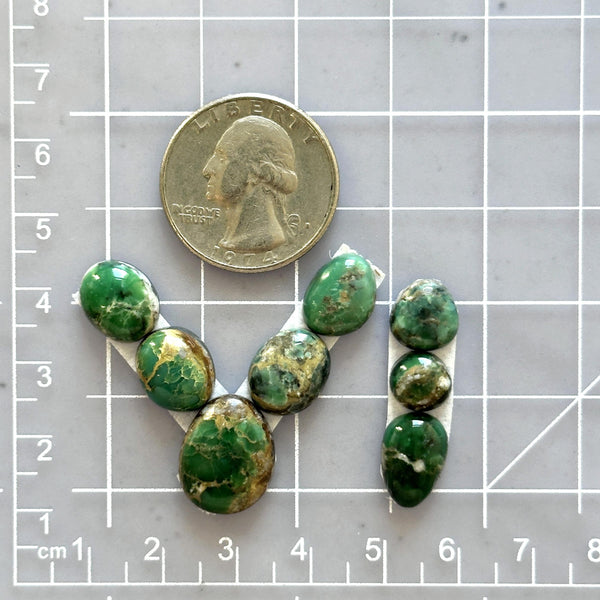 Small Deep Green Mixed Broken Arrow Variscite, Set of 8 Dimensions