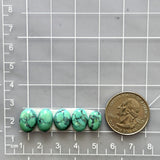Small Sky Blue Mixed Yungai Turquoise, Set of 5 Dimensions