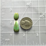 Small Bamboo Green Mixed Bamboo Mountain Turquoise, Set of 2 Dimensions
