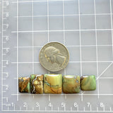 Small Earth Brown Mixed Crescent Lake Variscite, Set of 5 Dimensions