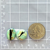 Small Mint Green Mixed Crescent Lake Variscite, Set of 2 Dimensions