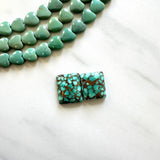 Medium Sea Green Bar Namtso Lake Turquoise, Set of 2 Background