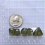 Small Swamp Green Mixed Rosarita, Set of 6 Dimensions