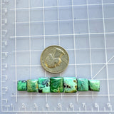 Small Sea Green Square Crescent Lake Variscite, Set of 7 Dimensions