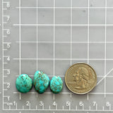 Small Sky Blue Freeform Number 8 Turquoise, Set of 3 Dimensions