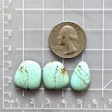 Medium Faint Green Freeform Number 8 Turquoise, Set of 3 Dimensions
