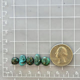 Small Ocean Blue Mixed Sonora Turquoise, Set of 5 Dimensions