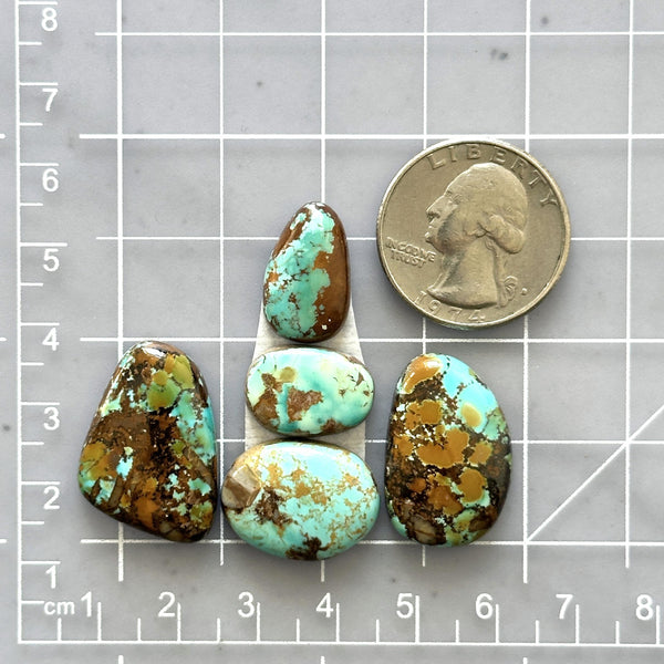 Medium Faint Blue Mixed Royston Turquoise, Set of 5 Dimensions
