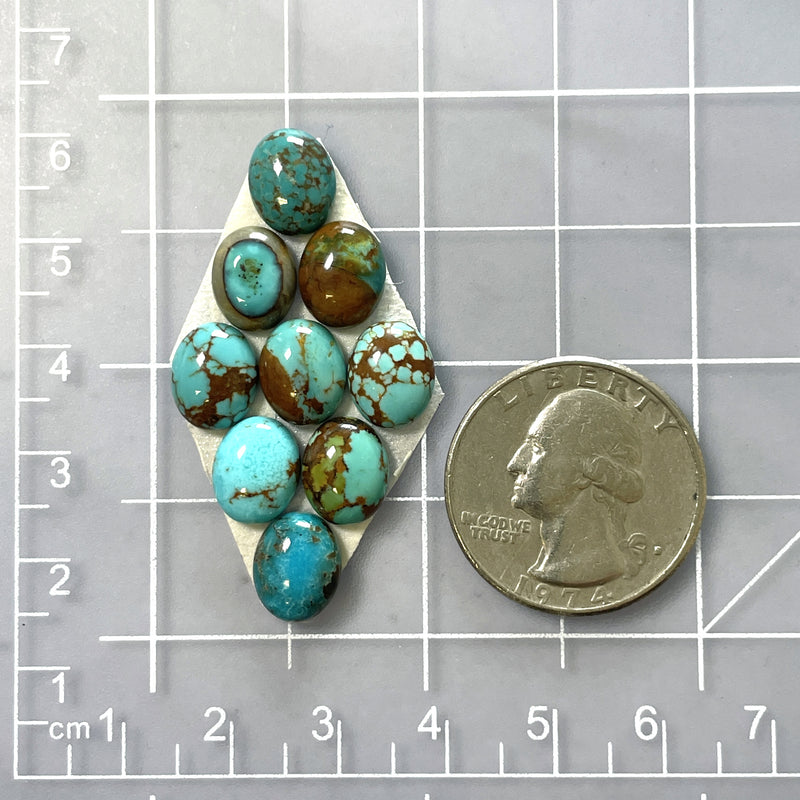 Small Sky Blue Oval Kingman Turquoise, Set of 9 Dimensions