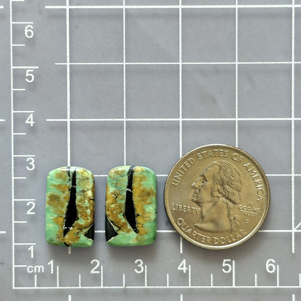 Medium Sea Green Freeform Crescent Lake Variscite, Set of 2 Dimensions