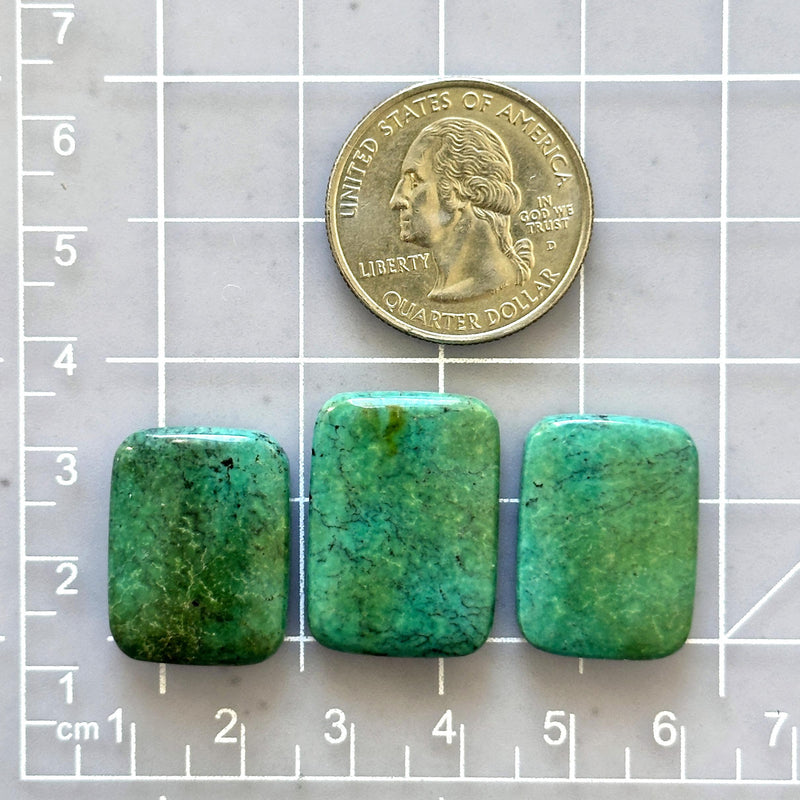 Large Sea Green Bar Yungai Turquoise, Set of 3 Dimensions