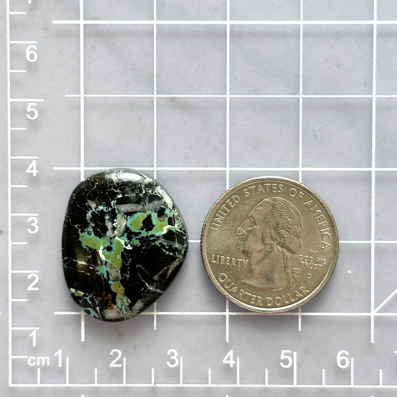 Large Sea Green Freeform Blue Moon Turquoise Dimensions