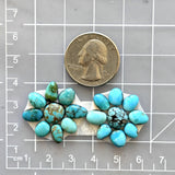 Small Sky Blue Mixed Lone Mountain Turquoise, Set of 18 Dimensions