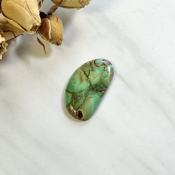 Large Sea Green Freeform Crescent Lake Variscite Background