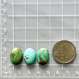 Small Mixed Oval Tyrone Turquoise, Set of 3 Dimensions
