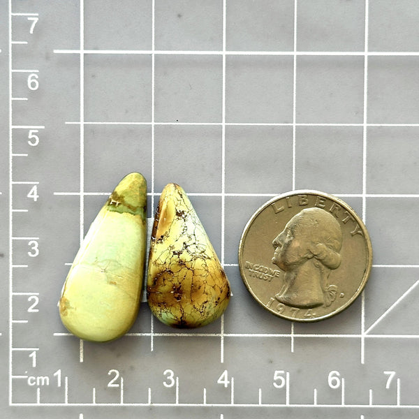 Medium Light Yellow Teardrop Crescent Lake Variscite, Set of 2 Dimensions
