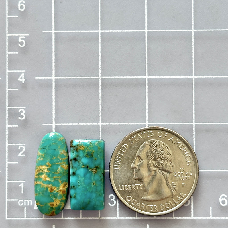Medium Sea Green Mixed Pilot Mountain Turquoise, Set of 2 Dimensions