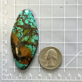 Large Sea Green Freeform Yungai Turquoise Dimensions