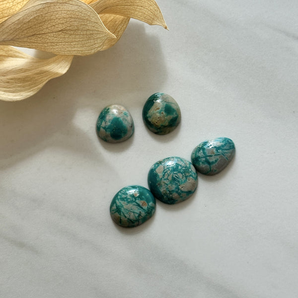 Small Mint Green Freeform Fox Turquoise, Set of 5 Background