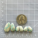 Medium Sky Blue Teardrop Royston Turquoise, Set of 6 Dimensions