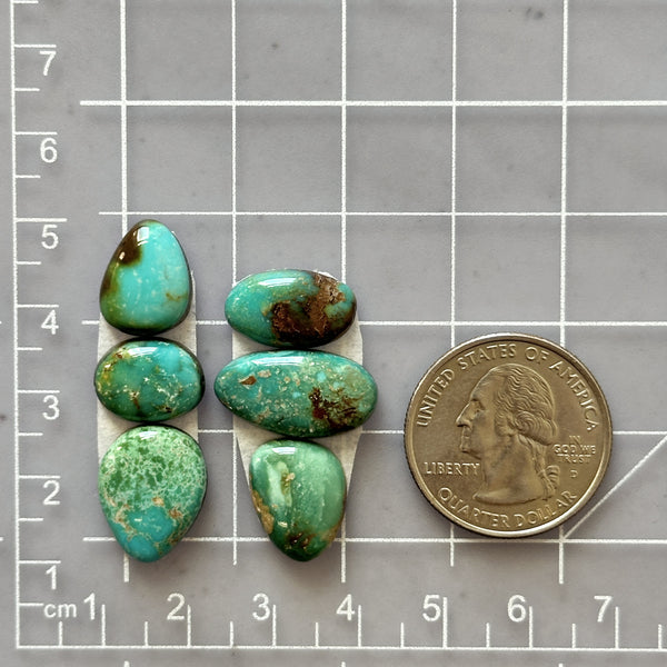 Small Mint Green Mixed Tyrone Turquoise, Set of 6 Dimensions