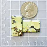 Large Light Yellow Bar Treasure Mountain Turquoise, Set of 3 Dimensions