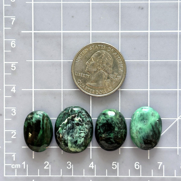 Medium Deep Green Oval Crescent Lake Variscite, Set of 4 Dimensions