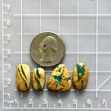 Medium Deep Green Mixed Royston Turquoise, Set of 4 Dimensions