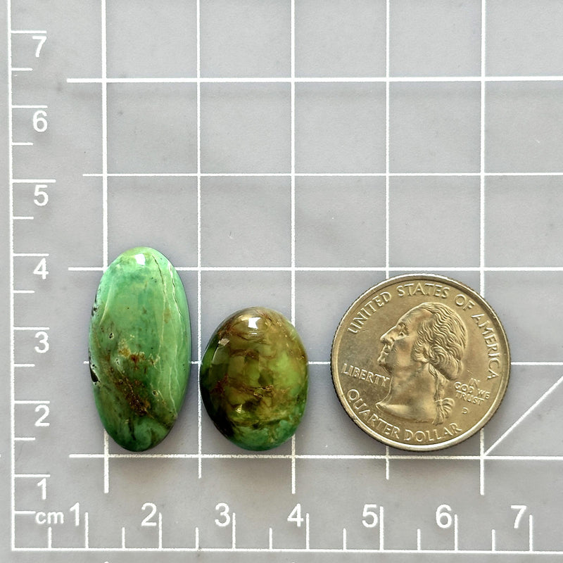 Large Sea Green Mixed Crescent Lake Variscite, Set of 2 Dimensions