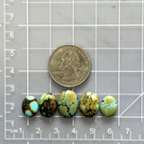Small Mixed Oval Treasure Mountain Turquoise, Set of 5 Dimensions