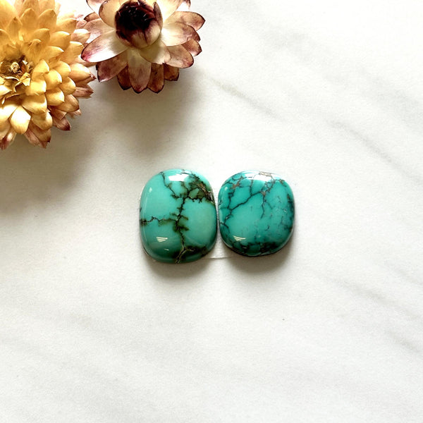 Medium Deep Green Freeform Broken Arrow Variscite, Set of 2 Background