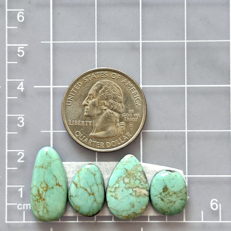 Medium Mint Green Freeform Tyrone Turquoise, Set of 4 Dimensions